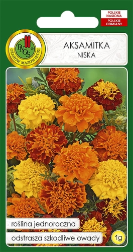 Nasiona PNOS  Aksamitka pełna niska mix kolorów