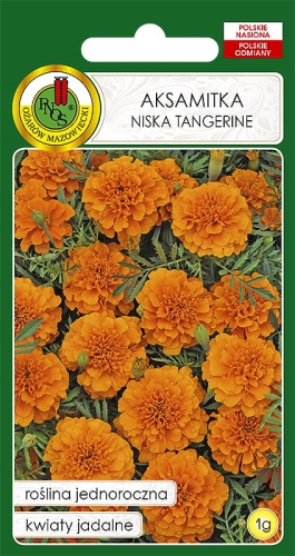Nasiona PNOS Aksamitka niska Tangerine