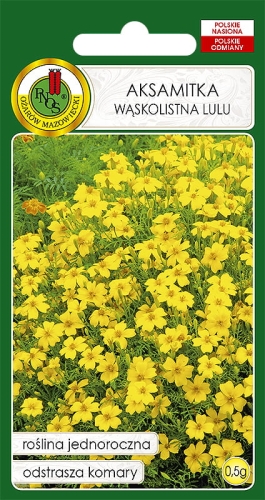 Nasiona kwiatów PNOS-Nasiona aksamitki- Aksamitka wąskolistna Lulu