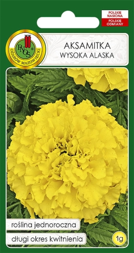 Nasiona PNOS  Aksamitka wysoka Alaska