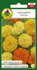 Nasiona PNOS Aksamitka pełna wysoka mix kolorów