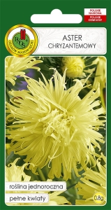 Nasiona PNOS aster chryzantemowy zolty
