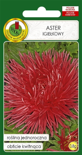 Nasiona PNOS - Nasiona Kwiatów - aster igielkowy czerwony