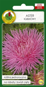 Nasiona PNOS  Aster igiełkowy różowy