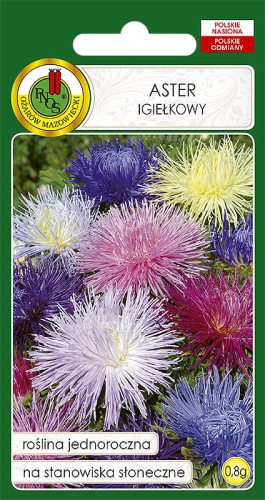 Nasiona PNOS aster igielkowy mix