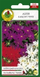 Aster KARŁOWY PEPITE mieszany 0,8g