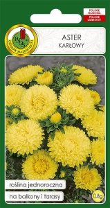 Aster KARŁOWY żółty 0,8g