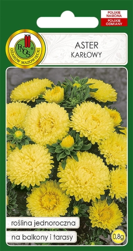 Nasiona PNOS - Nasiona kwiatów - Aster karłowy żółty 0,8g
