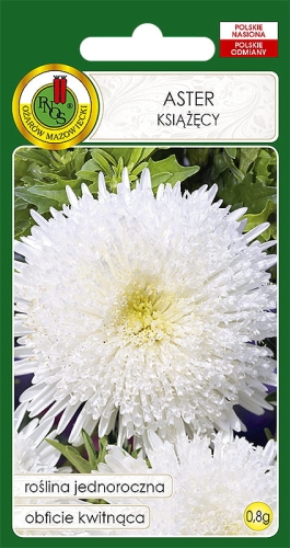 Nasiona PNOS - Nasiona kwiatów - Aster książęcy biały 0,8g