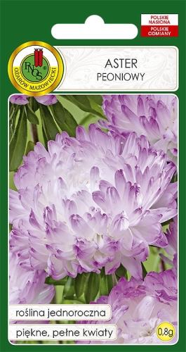 Nasiona kwiatów -Aaster peoniowy białoróżowy