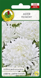 Nasiona PNOS-Nasiona kwiatów-Aster peoniowy biały
