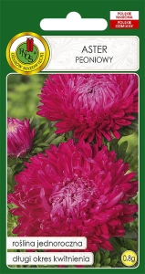 Nasiona PNOS - Nasiona kwiatów - aster peoniowy rozowy