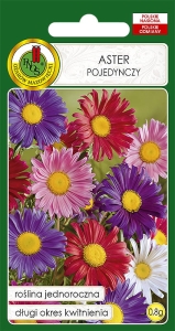 Aster POJEDYNCZY mieszany 0,8g