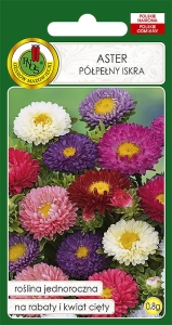 Nasiona PNOS - Nasiona kwiatów - aster polpelny iskra