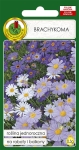 Brachykoma mieszana 0,3g