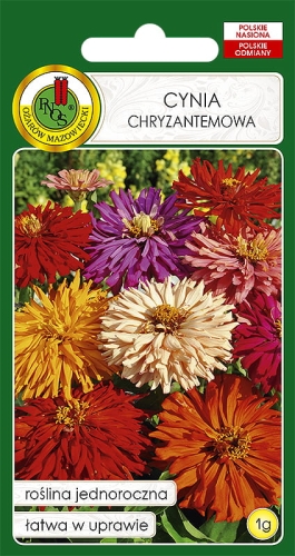 Nasiona PNOS - Nasiona kwiatów - cynia chryzantemowa mix.jpg