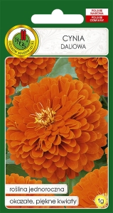 Nasiona PNOS - Nasiona kwiatów - Cynia daliowa pomaranczowa (eldorado).jpg