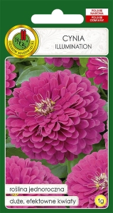 Nasiona PNOS - Nasiona kwiatów - cynia ilumination.jpg