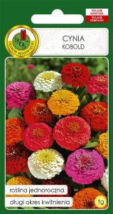 Nasiona PNOS - Nasiona kwiatów - cynia kobold mix.jpg