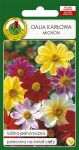 Dalia pojedyncza MIGNON mieszana 1g
