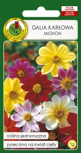 Nasiona PNOS - Nasiona kwiatów - dalia mignon mix.jpg