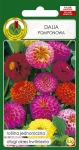 Dalia POMPONOWA mieszana 0,5g
