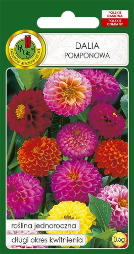 Nasiona PNOS - Nasiona kwiatów - dalia pomponowa mix.jpg
