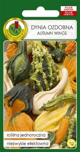 Nasiona PNOS - Nasiona kwiatów - dynia ozdobna autumn wings.jpg