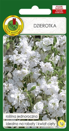 Nasiona PNOS - Nasiona kwiatów - dzierotka biala.jpg