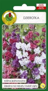 Nasiona PNOS - Nasiona kwiatów - dzierotka mix.jpg