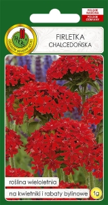 Nasiona PNOS - nasiona kwiatów