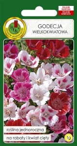 Nasiona PNOS - nasiona kwiatów