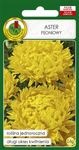 Nasiona PNOS - aster peoniowy zolty