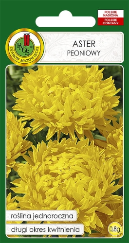 Nasiona PNOS - aster peoniowy zolty