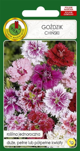 Nasiona PNOS-Nasiona kwiatów-Goździk chiński mieszany