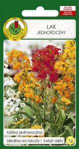 Nasiona PNOS-nasiona kwiatów