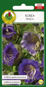 Nasiona PNOS - nasiona kwiatów