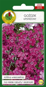 Nasiona PNOS - nasiona kwiatów