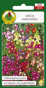 Nasiona PNOS-nasiona kwiatów