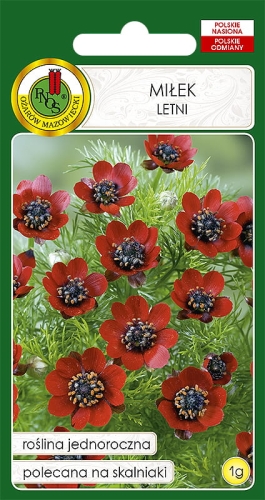 Nasiona PNOS-nasiona kwiatów