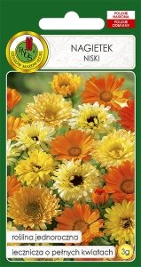 Nasiona PNOS-nasiona kwiatów