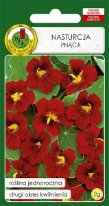 Nasiona PNOS-nasiona kwiatów