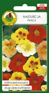 Nasiona PNOS-nasiona kwiatów