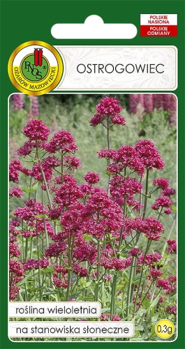 Nasiona PNOS - Nasiona kwiatów - Ostrogowiec różowy