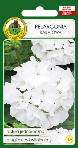 Nasiona PNOS - pelargonia biala.jpg