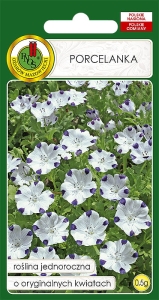Nasiona PNOS - porcelanka.jpg
