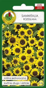 Nasiona kwiatów PNOS - Sanwitalia rozesłana 0,3g