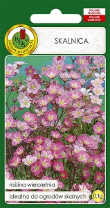 Nasiona PNOS - nasiona kwiatów - Skalnica różowa