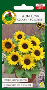 Nasiona PNOS - slonecznik ozdobny big smile.jpg