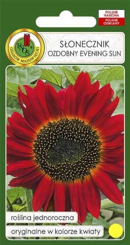 Nasiona PNOS - slonecznik ozdobny Evening Sun.jpg